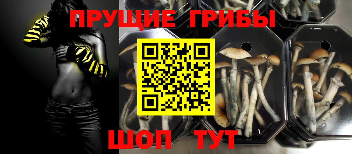 Псилоцибиновые грибы GOLDEN TEACHER  Вход с VPN  Чистополь 